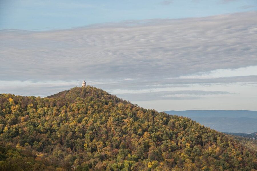 3Hour Outdoor Budapest Normafa Hike&History With a Historian - Normafa: the quick nature escape from central Budapest