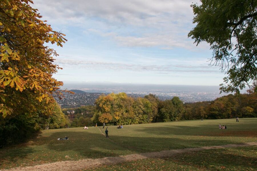 3Hour Outdoor Budapest Normafa Hike&History With a Historian - Getting there: Széll Kálmán Sq and the M2 shortcut
