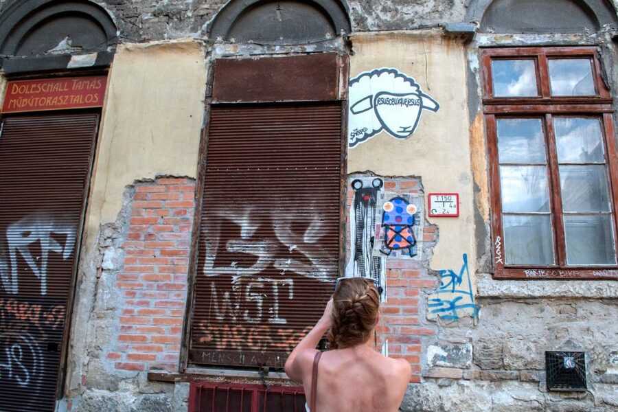 Alternative Budapest Walking Tour - Street Art and Alternative Budapest, Without the Tourist Script