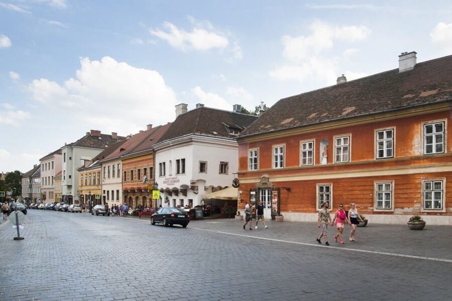Budapest: Buda Castle Walking Tour in German - Quick hits on the Buda Castle experience