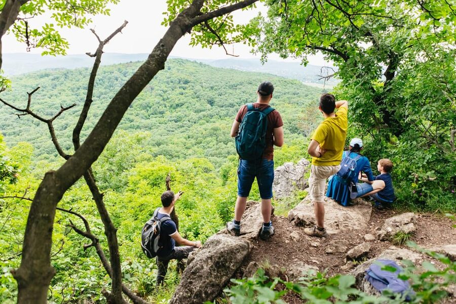 Budapest: Buda Hills Guided Hiking Tour with Optional Lunch - Key Points You Will Care About