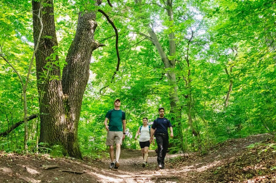 Budapest: Buda Hills Guided Hiking Tour with Optional Lunch - Why This Buda Hills Hike Feels Different Than Regular Sightseeing