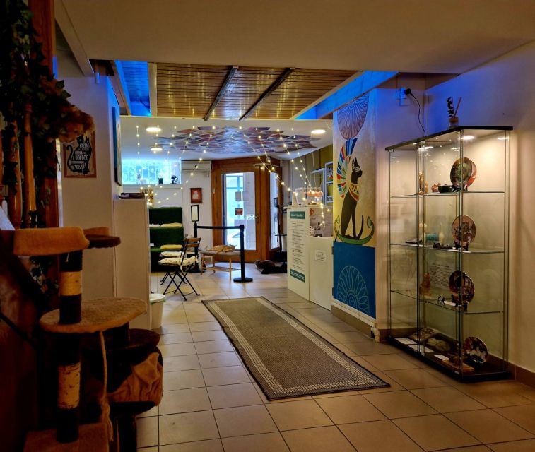 Budapest: Cat Museum Budapest Entry Ticket - Egyptian and Japanese Photo Walls, Plus Movie Screens and a Tablet Quiz