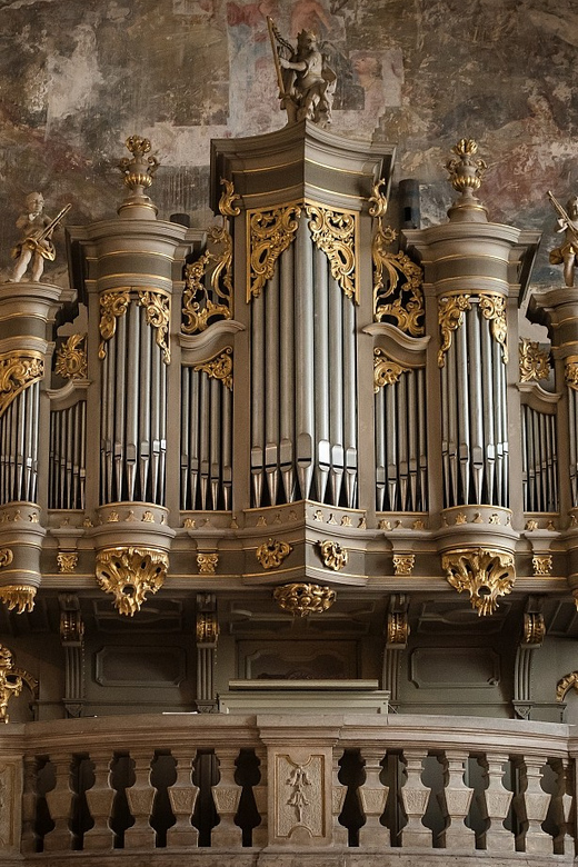 Budapest: Concert on the Oldest Working Organ in the City - Who should book this, and who might not