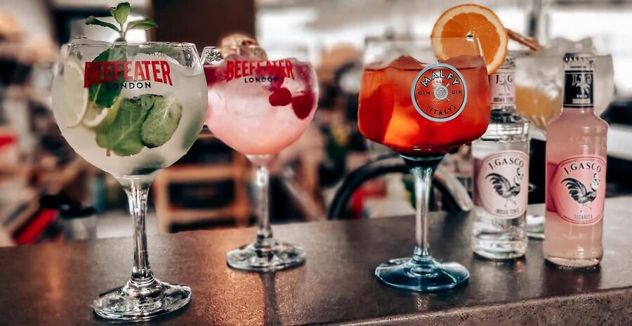 Budapest: Danube Cruise with Folk Dancing and Drinks - Your drink plan: three included drinks and how to use them