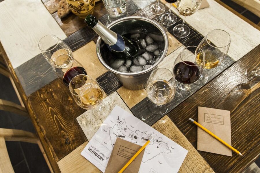 Budapest: Essentials of Hungarian Wine Tasting Class - Key things you will enjoy about this Budapest wine class