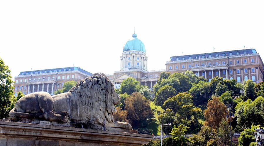 Budapest: Guided City Tour by E-Bike - St. Stephen’s Basilica, Liberty Square, and Parliament from the road