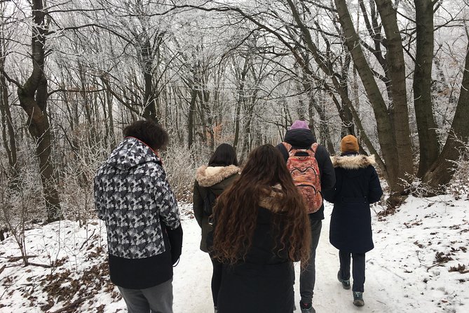 Budapest Hike - What You Do on the Trail in the Buda Mountains