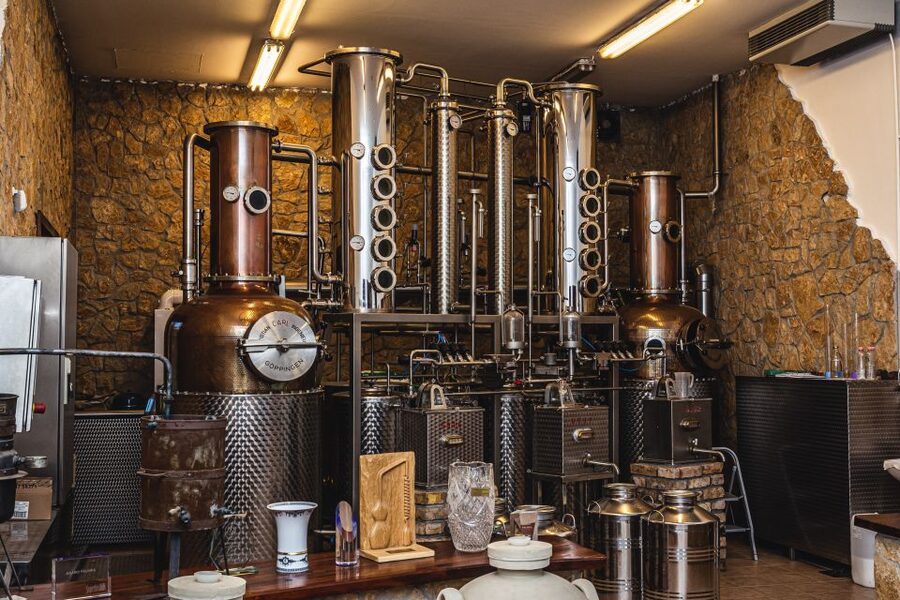 Budapest: Hungarian Whisky, Gin, and Pálinka Tasting - Small Plates Keep the Afternoon Comfortable