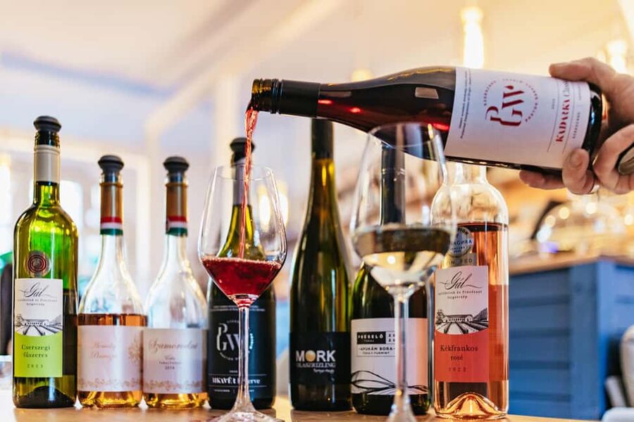 Budapest: Hungarian Wine Tasting with 7 Wines and Tapas - Duration, pace, and how to fit this into your Budapest plans