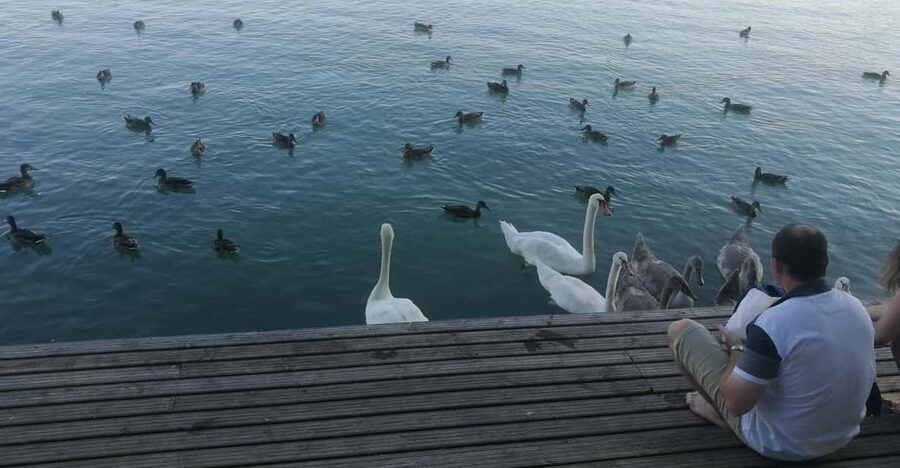 Budapest: Lake Balaton & Herend Porcelain Private Day Tour - Key highlights you’ll actually care about