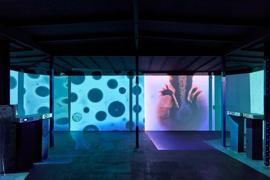 Budapest: Light Art Museum - Immersive New Media Experience - Crowds, comfort, and the over-18 area you should plan around