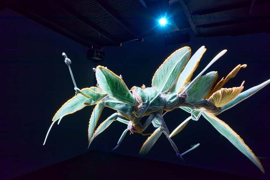 Budapest: Light Art Museum - Immersive New Media Experience - When exhibits are closed: how to keep your visit satisfying