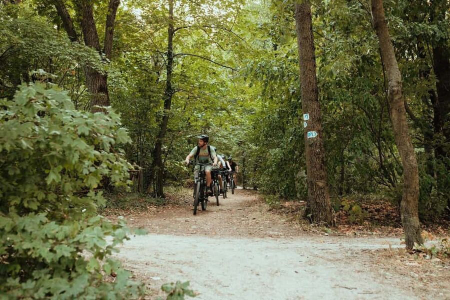 Budapest Peaks: Off-Road eBike Tour - Key things I’d pay attention to