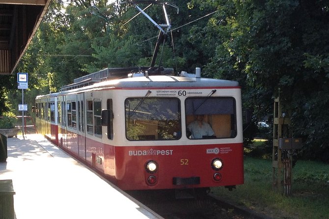 Budapest: Private Adventure Sightseeing Bicycle Tour - Elisabeth Lookout: The View That Makes the Climb Worth It