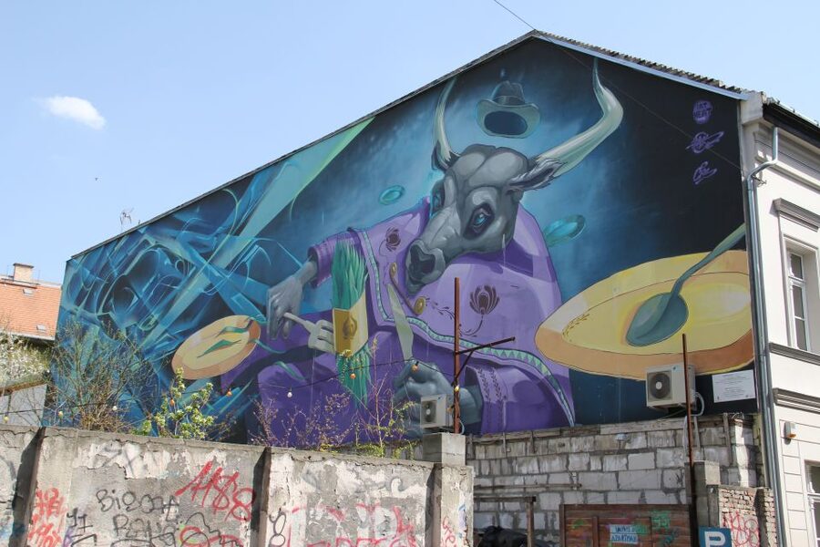 Budapest: Street Art Tour - Who This Tour Suits Best
