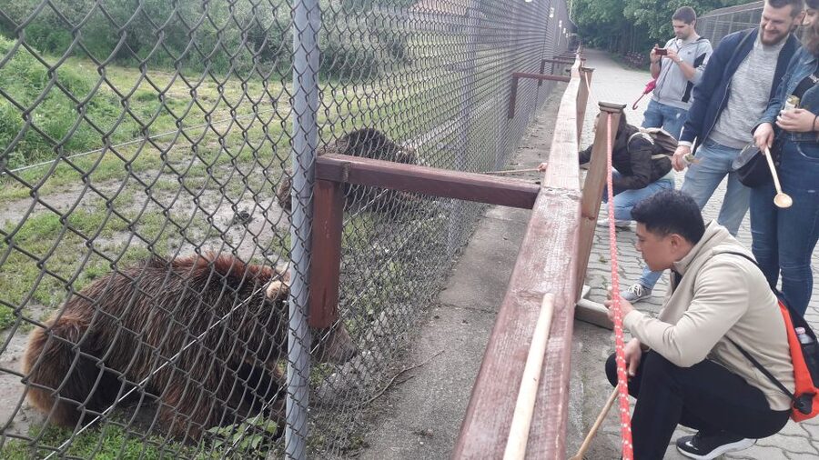Budapest: Transport & Guided Tour of Bear and Wolf Sanctuary - Why this bear and wolf sanctuary feels like a real experience from Budapest