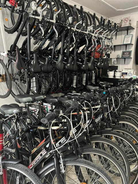Choose a bicycle and make your own tour in Budapest-24 hrs - Where you start: Bestbike Tours by Ferenc Liszt University