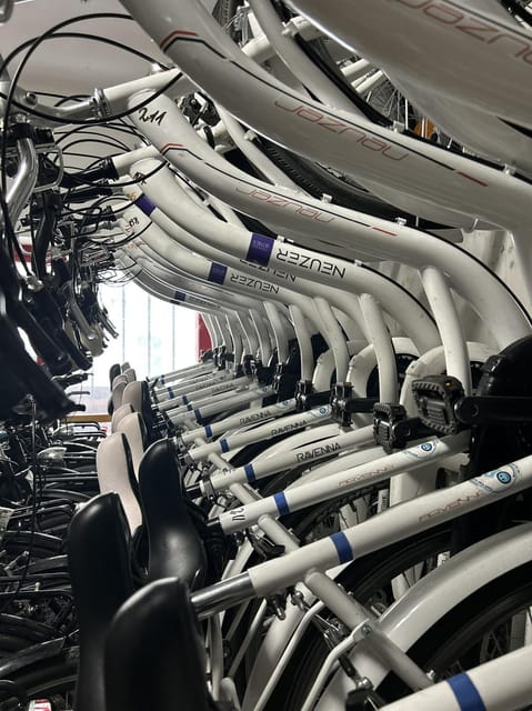 Choose a bicycle and make your own tour in Budapest-24 hrs - Choosing a bike for Budapest hills and river views