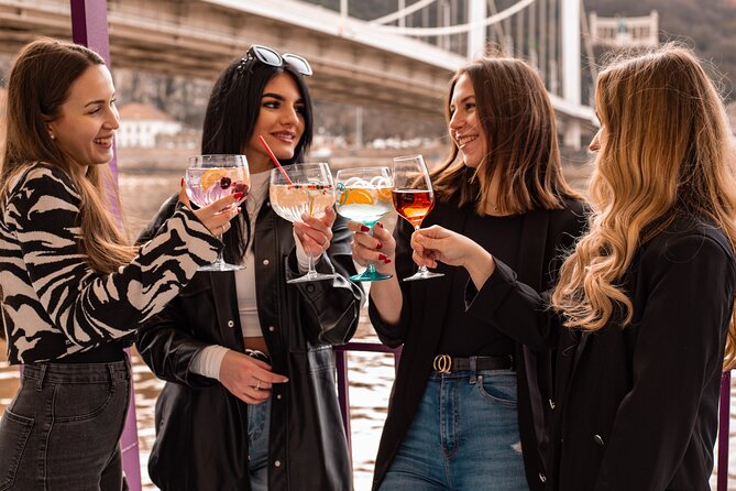 Cocktail Cruise and City Views on the Danube in Budapest - Meeting point and boarding reality: how to avoid the common hiccup