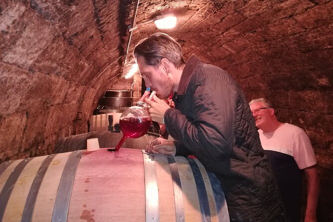 Countryside Half-day Gastro-Wine Tour from Budapest Meal & pickup - Afternoon and dinner options: three winery stops plus a true meal stop