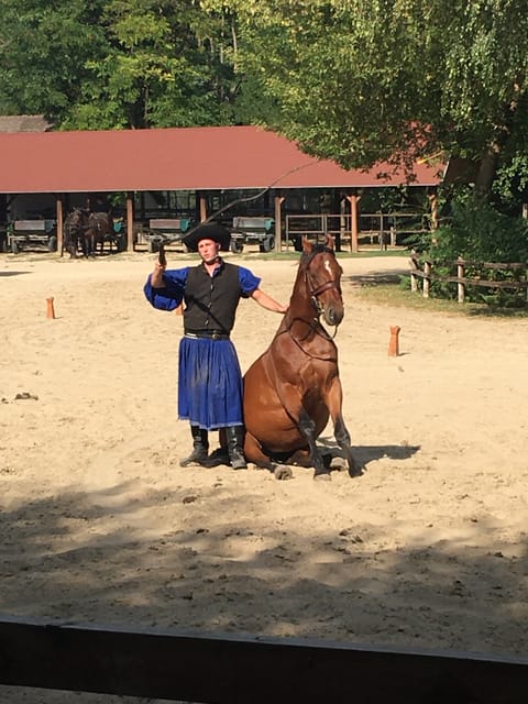 Countryside ranch, horse show & lunch - Lunch on the Southern Great Plain: Goulash, Strudel, and Palinka