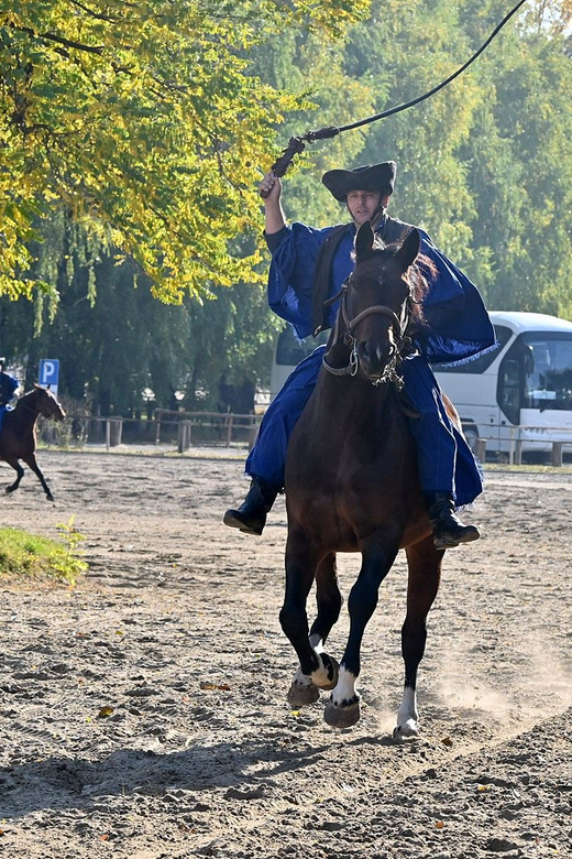 Countryside ranch, horse show & lunch - How the 5-Hour Flow Actually Feels