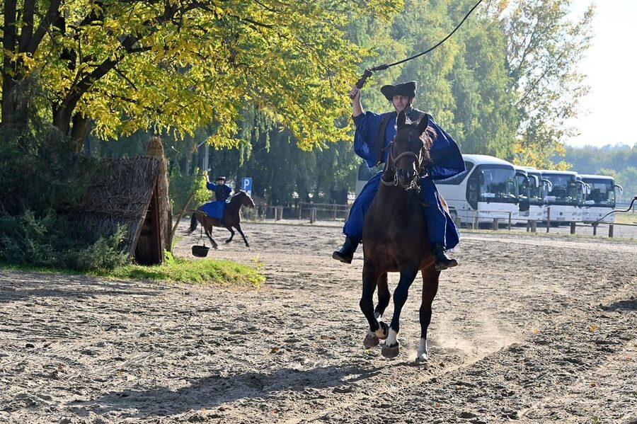 Countryside ranch, horse show & lunch - Price and Value: Why $127 Can Make Sense