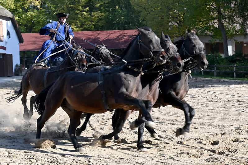 Countryside ranch, horse show & lunch - Entering a Working Ranch, Where Stables Are Part of the Story
