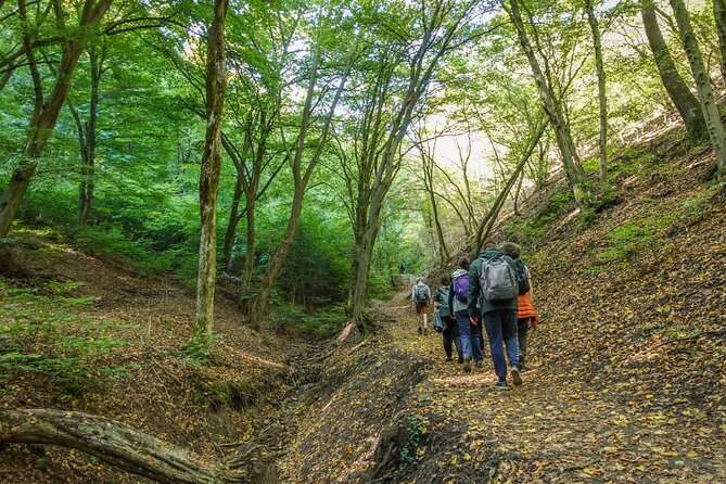 Danube Bend Hiking and Kayaking - Who Should Book This Danube Bend Hiking and Kayaking Trip