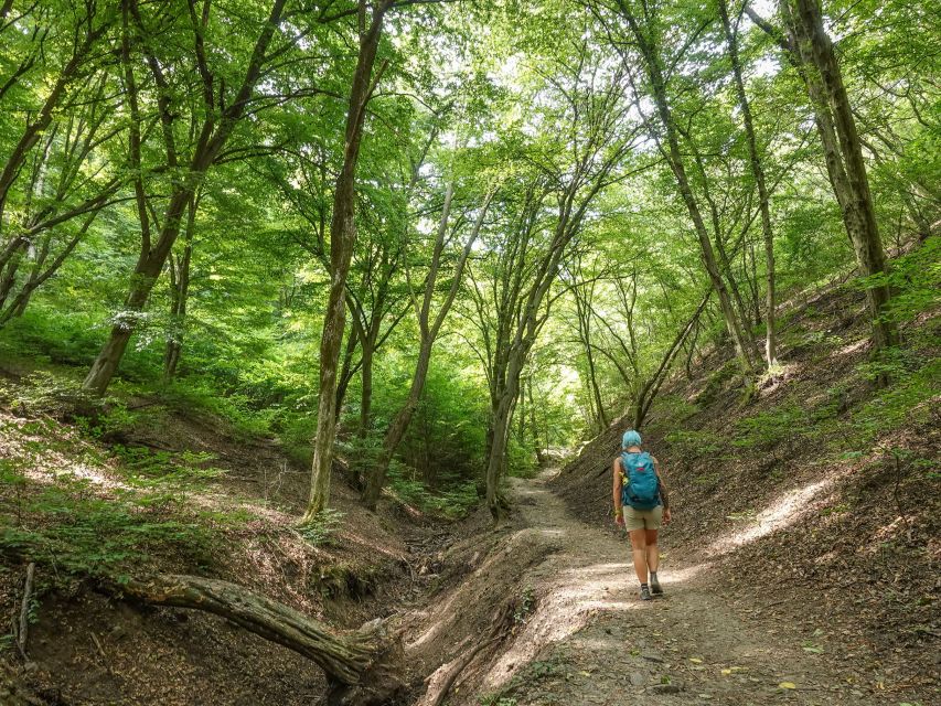 Danube Bend Hiking and Kayaking Adventure - A half-day out of Budapest that feels like a whole trip