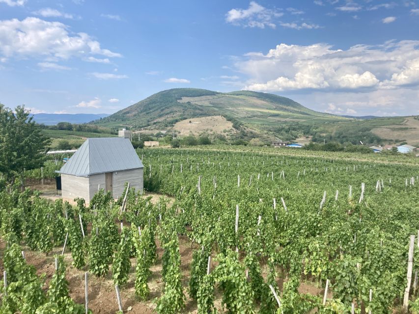 Eger: Countryside, Culture, and Wine Private Tour - Fortress Walls and the 1552 Story of Eger