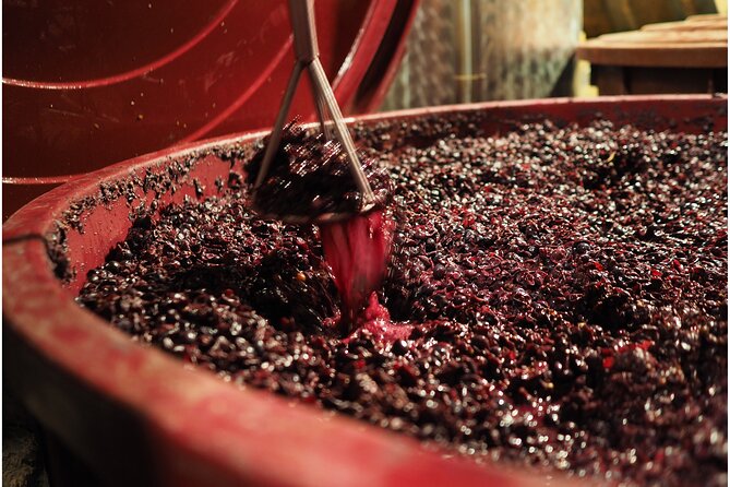 Etyek Private Half-Day Wine Tasting Tour from Budapest - Timing and what “about five hours” feels like in real life