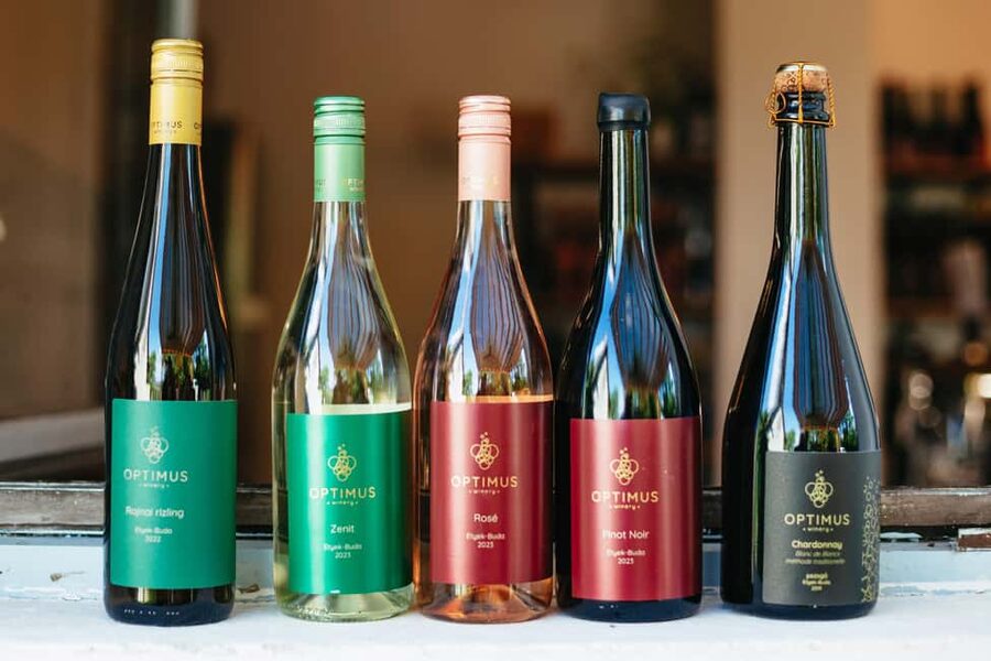 From Budapest: Etyek Wine Tasting Tour with 3-Course Meal - Who This Etyek Wine Tour Fits Best