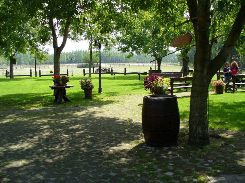 From Budapest: Full-Day Puszta Tour with Lunch and Show - Key things you will notice