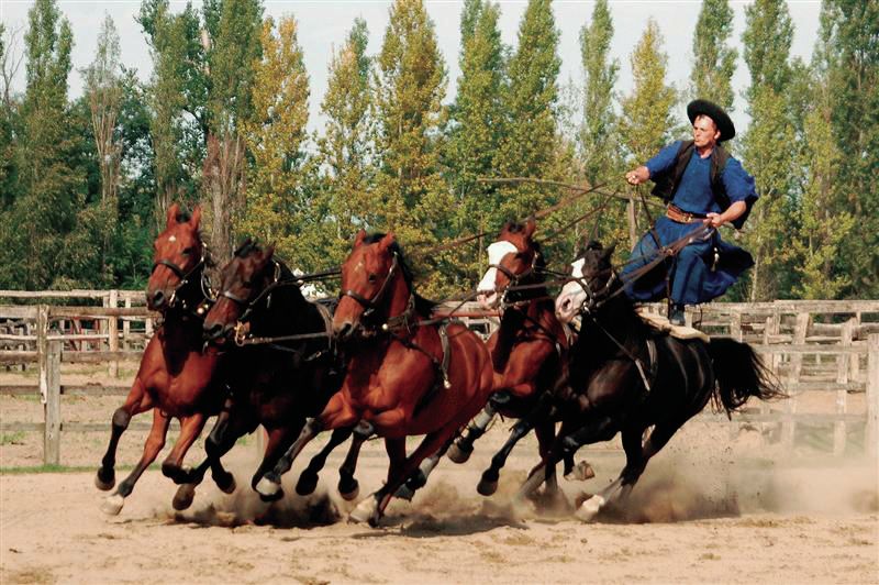 From Budapest: Full-Day Puszta Tour with Lunch and Show - From Budapest to the Hungarian Great Plain in one packed day