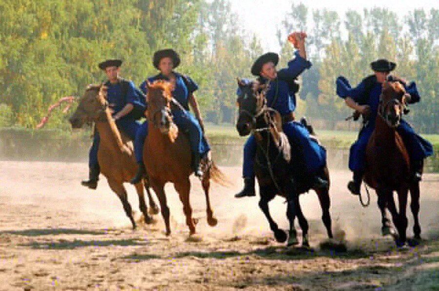 From Budapest: Full-Day Puszta Tour with Lunch and Show - Lajosmizse ranch greeting: pálinka, horses, and real country pacing
