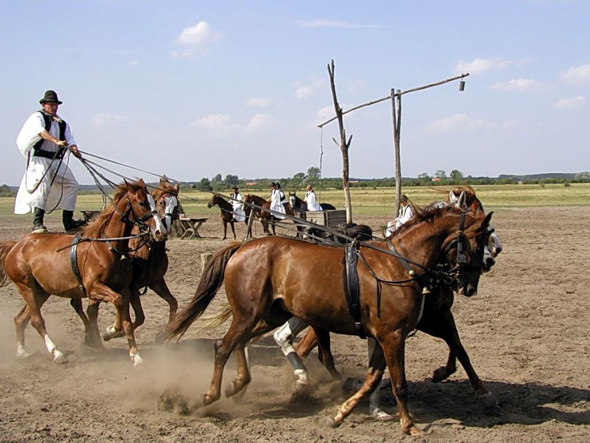 From Budapest: Full-Day Puszta Tour with Lunch and Show - Coach logistics: air-conditioned comfort and a full-day schedule