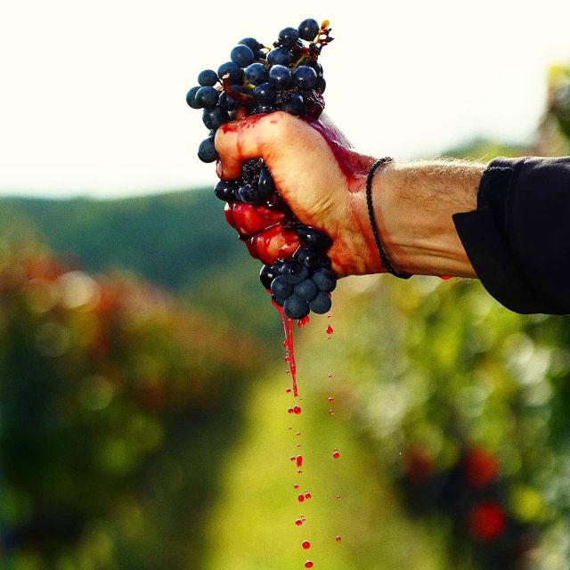 From Budapest: Guided Tour of Eger with Wine Tasting - Szépasszony-völgy wine tasting: Egri Bikavér, Bull’s Blood, and cellar time