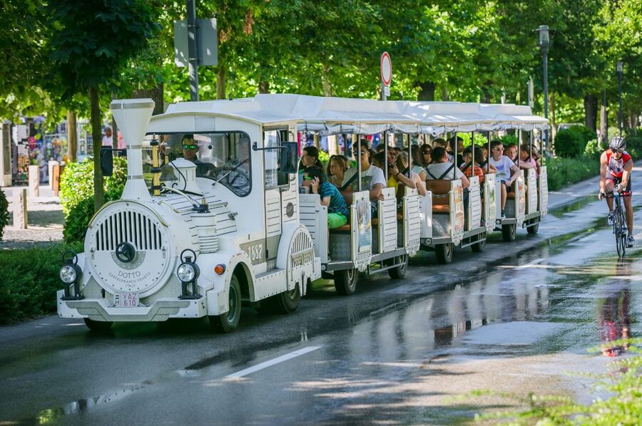 From Budapest: Lake Balaton Day Tour - The Lake Balaton Cruise: Your Hour on the Water