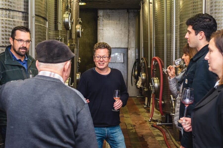 From Budapest: Mátra Hills Wine Tour - Meeting the Hungarian Winemaker of the Year: why it changes the vibe