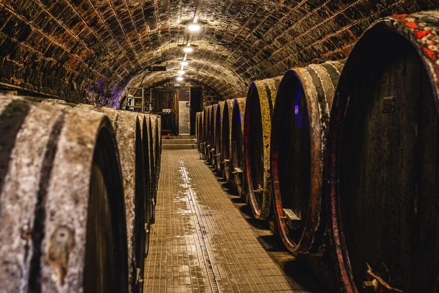From Budapest: Mátra Hills Wine Tour - What you will taste: reds, whites, and up to eight varieties
