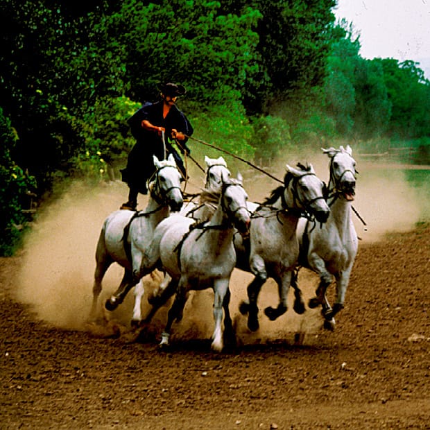 From Budapest: Puszta Horse Show and Countryside Visit - A Day Out in the Puszta, from Budapest to Horse Country
