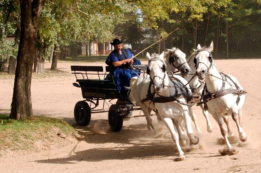 From Budapest: Puszta Horse Show and Countryside Visit - Price and Value: Is $133 Worth It?