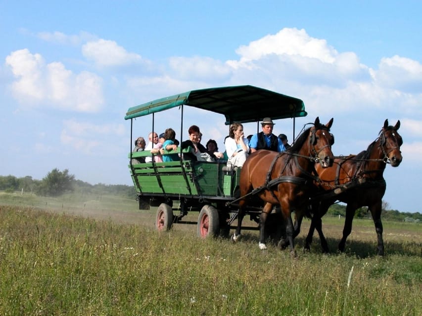 From Budapest: Puszta Horse Show and Countryside Visit - Who This Puszta Horse Show Day Trip Suits Best