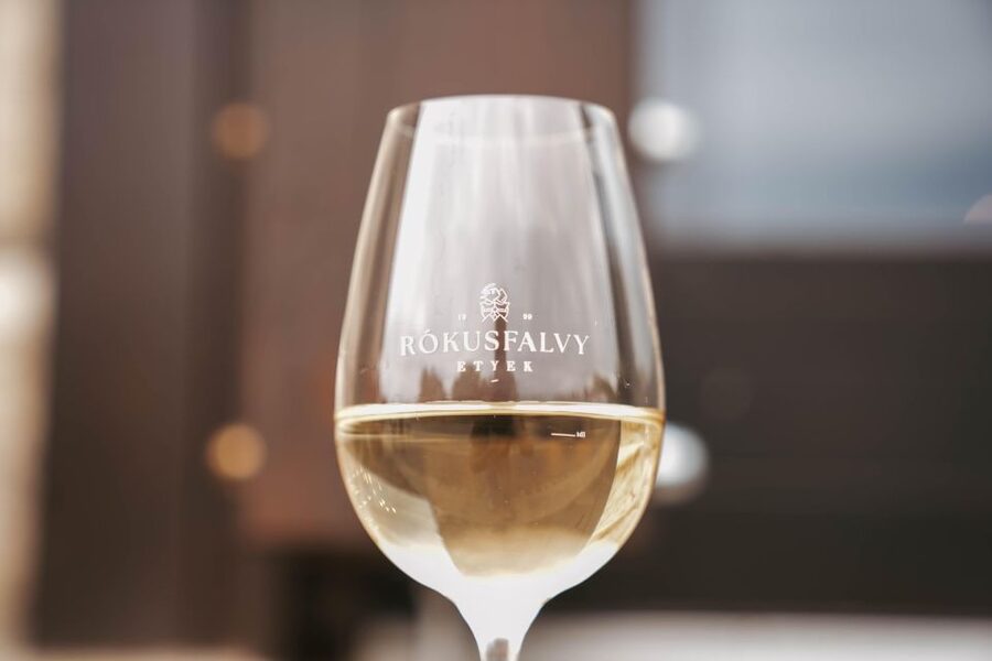 Guided wine tasting at Rókusfalvy Estate - What makes it work in real life