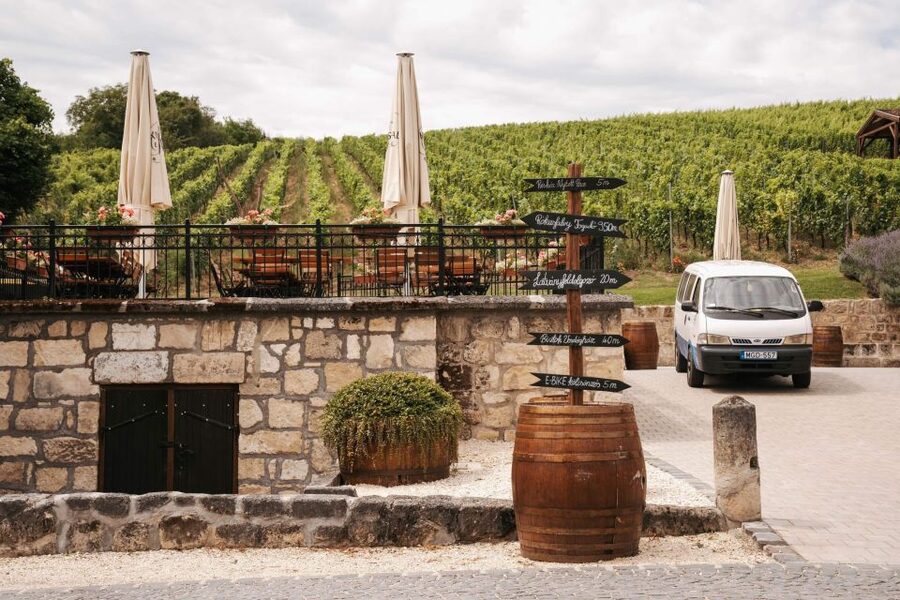 Guided wine tasting at Rókusfalvy Estate - Key highlights you will care about