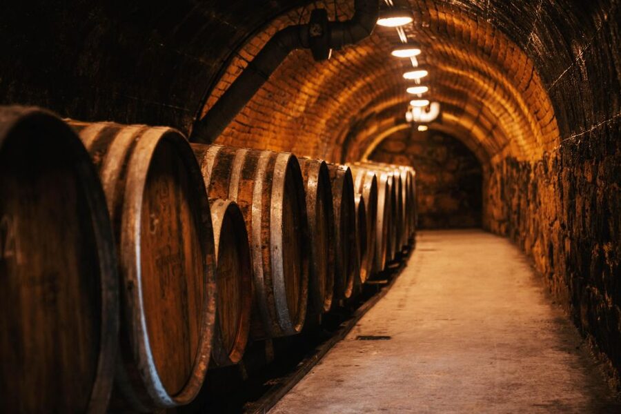 Guided wine tasting at Rókusfalvy Estate - Price and value: what $27 buys in this format