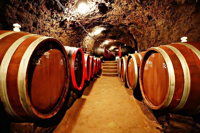 Half Day Tokaj Wine Tasting Tour in Mád Hungary with lunch - Inside the Tokaj Wine Cellar Labyrinth and the Game