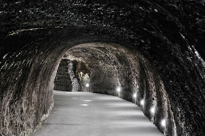 Half Day Tokaj Wine Tasting Tour in Mád Hungary with lunch - What You Actually Taste, and How the Day Paces It